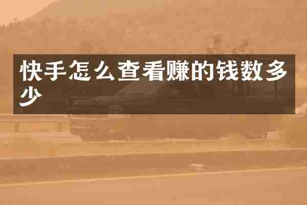 快手怎么查看赚的钱数多少
