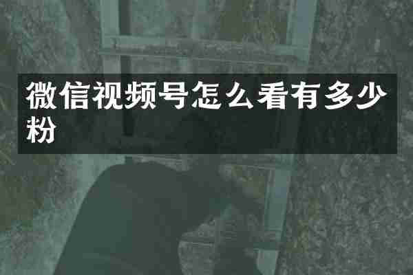 微信视频号怎么看有多少粉