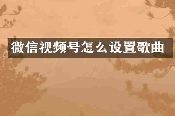 微信视频号怎么设置歌曲