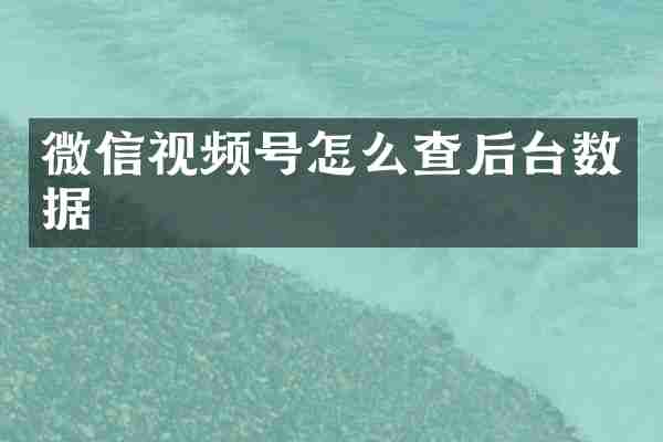 微信视频号怎么查后台数据