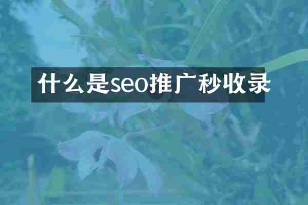 什么是seo推广秒收录