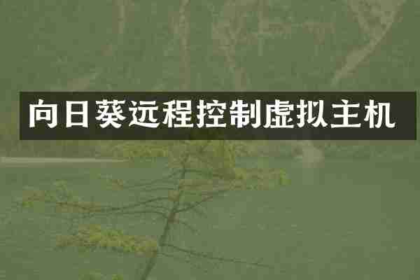 向日葵远程控制虚拟主机