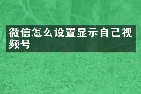 微信怎么设置显示自己视频号