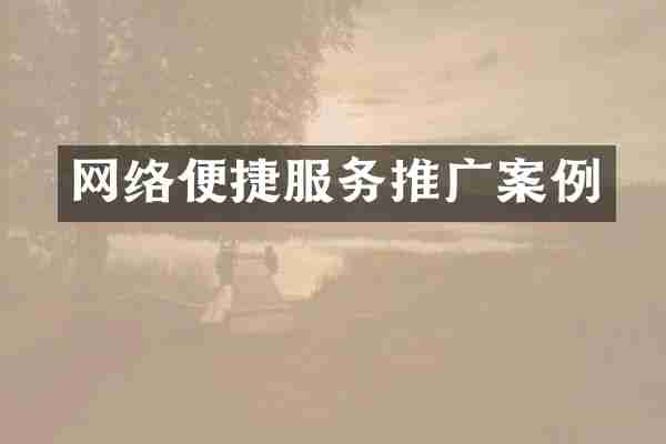 网络便捷服务推广案例