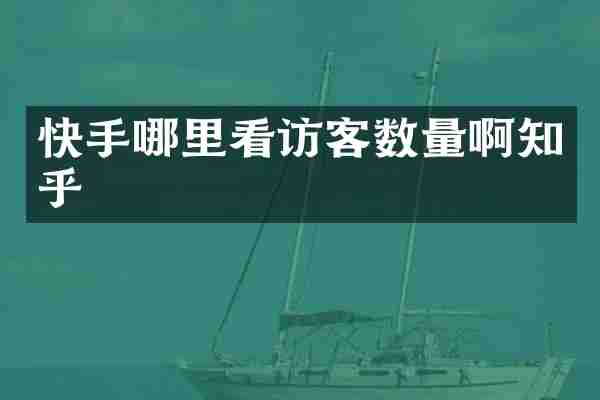快手哪里看访客数量啊知乎