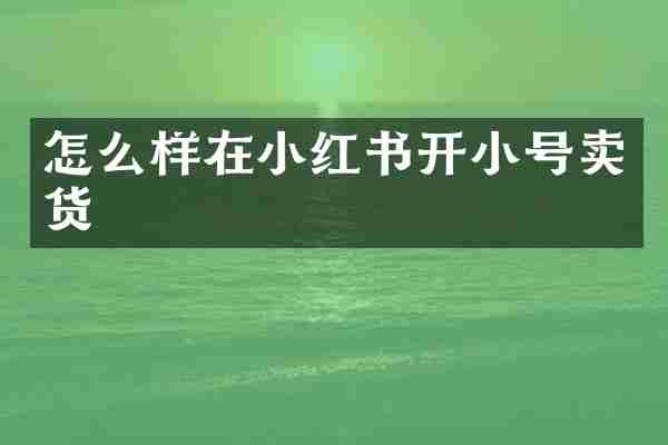 怎么样在小红书开小号卖货