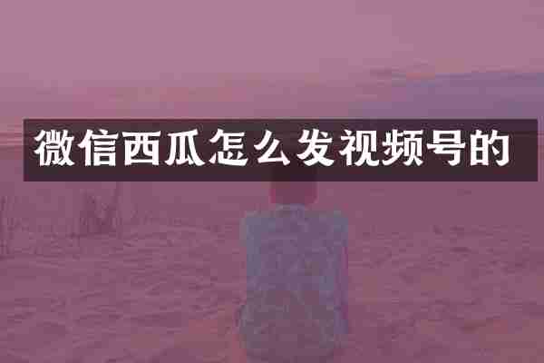 微信西瓜怎么发视频号的