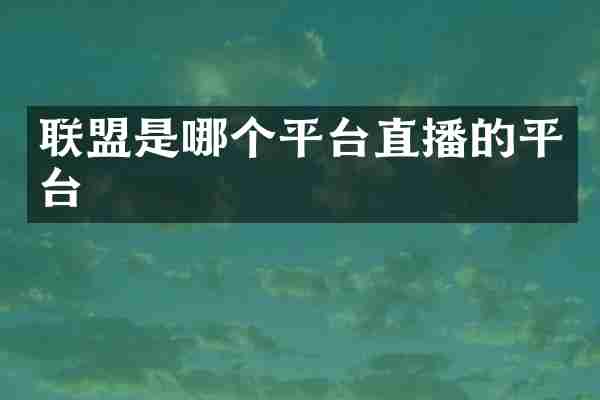 联盟是哪个平台直播的平台