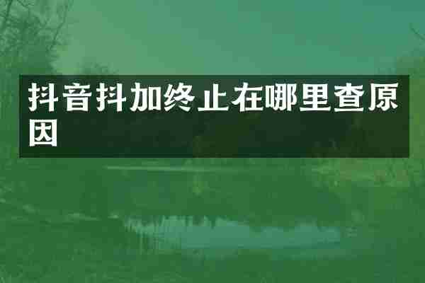 抖音抖加终止在哪里查原因
