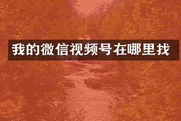 我的微信视频号在哪里找
