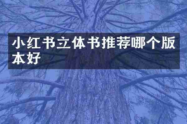 小红书立体书推荐哪个版本好