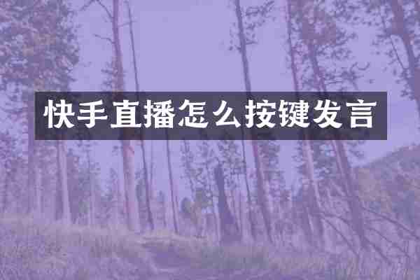快手直播怎么按键发言