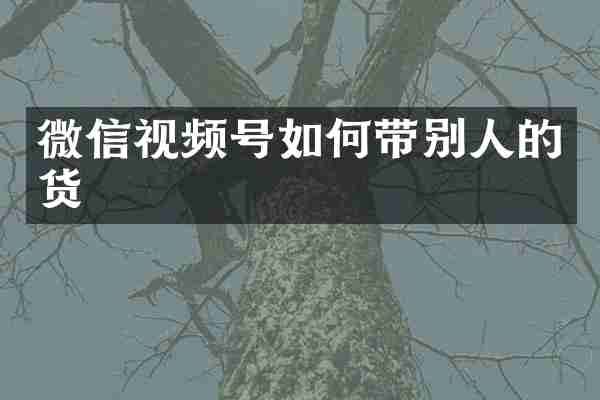微信视频号如何带别人的货