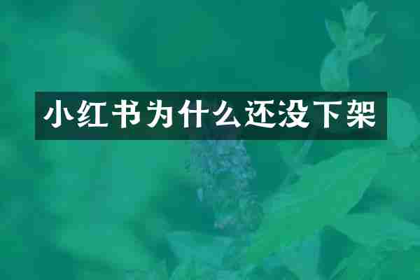 小红书为什么还没下架