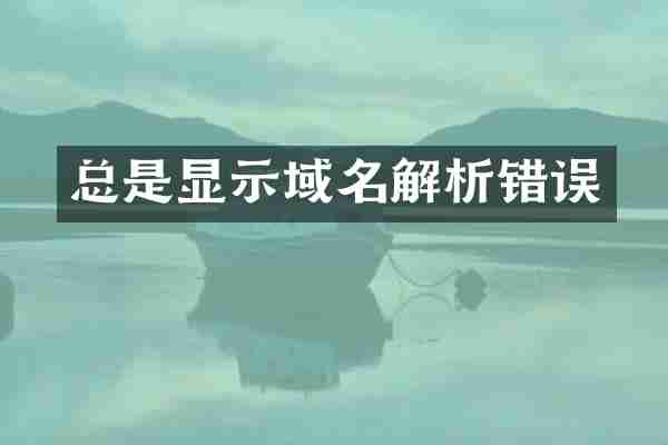 总是显示域名解析错误