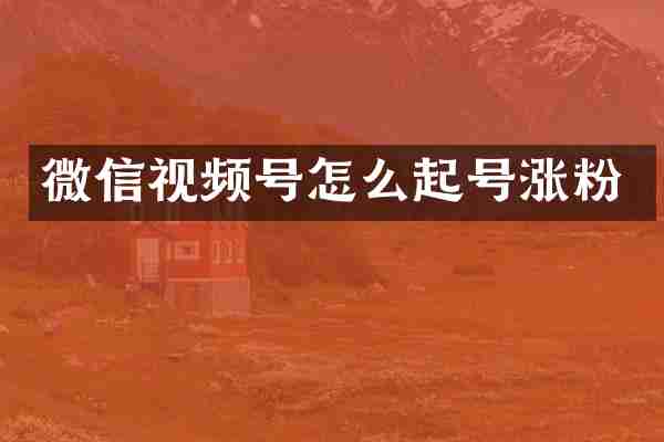 微信视频号怎么起号涨粉