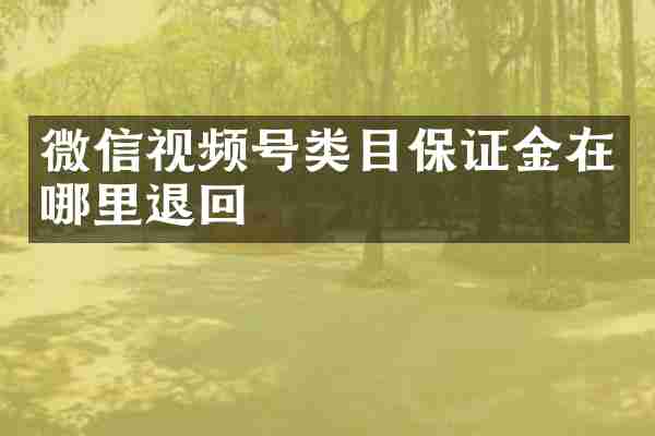 微信视频号类目保证金在哪里退回
