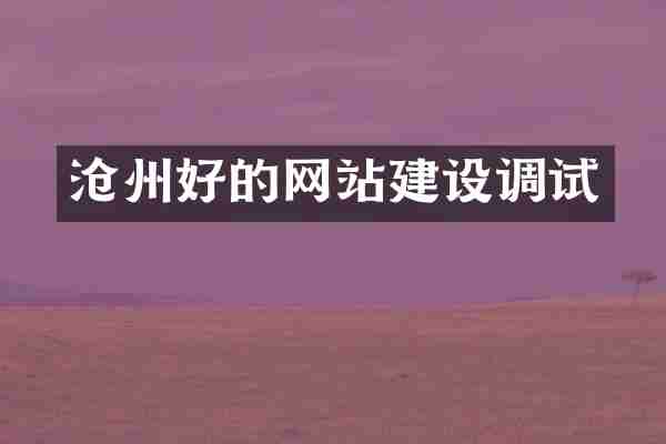 沧州好的网站建设调试