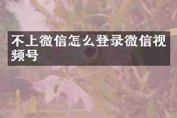 不上微信怎么登录微信视频号