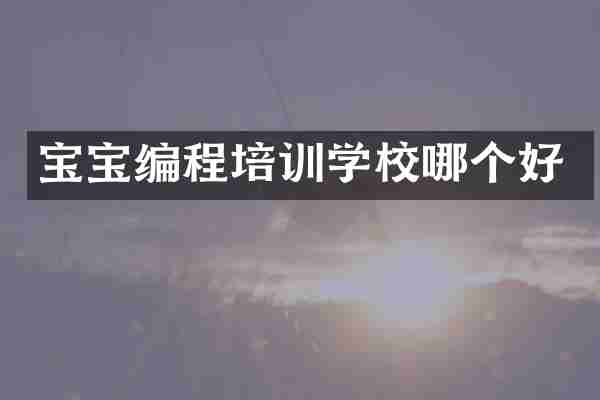 宝宝编程培训学校哪个好