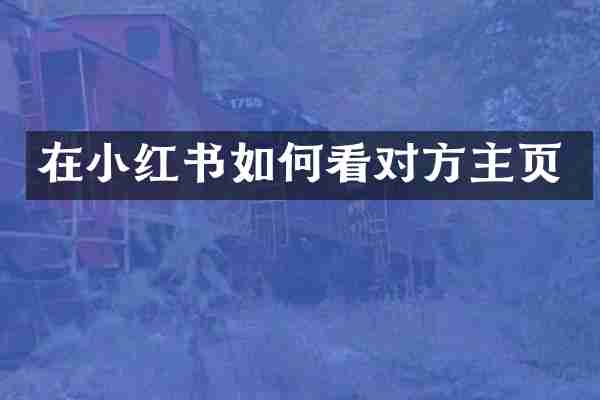 在小红书如何看对方主页