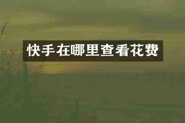 快手在哪里查看花费