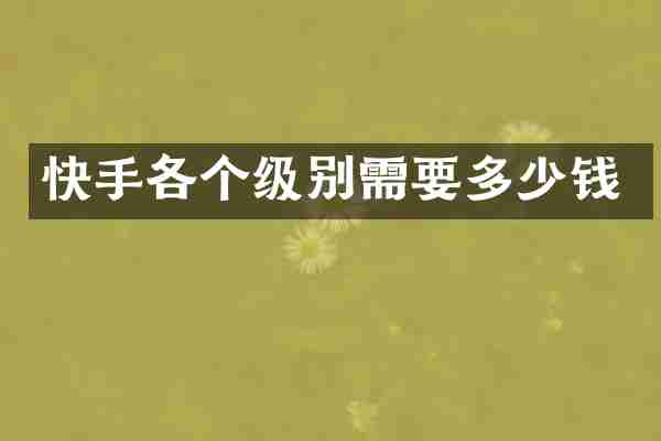 快手各个级别需要多少钱