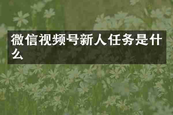 微信视频号新人任务是什么