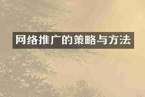 网络推广的策略与方法