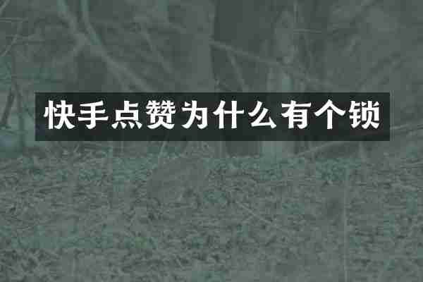 快手点赞为什么有个锁