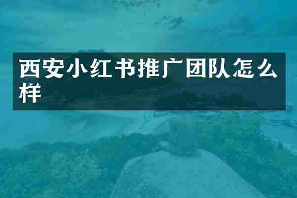 西安小红书推广团队怎么样