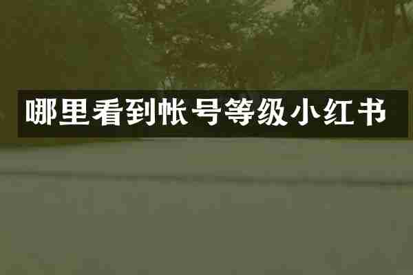哪里看到帐号等级小红书