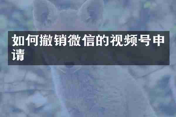 如何撤销微信的视频号申请