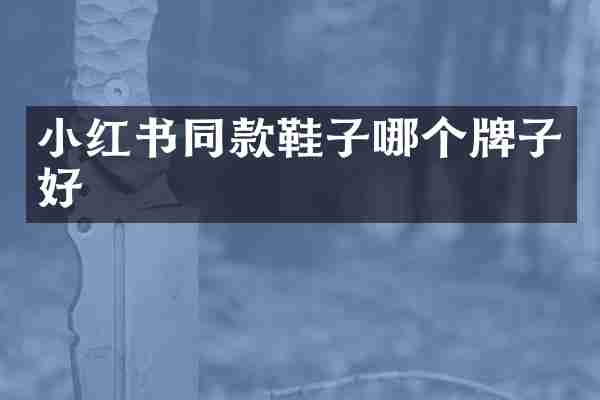 小红书同款鞋子哪个牌子好