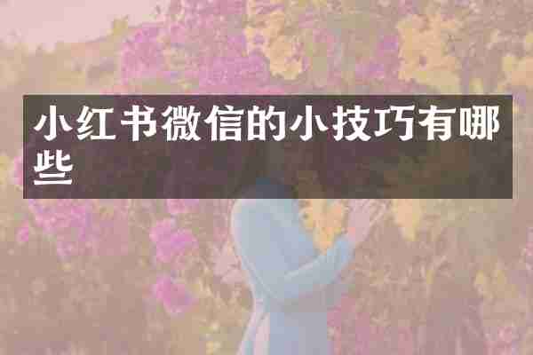 小红书微信的小技巧有哪些