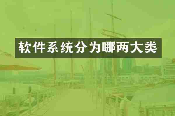 软件系统分为哪两大类