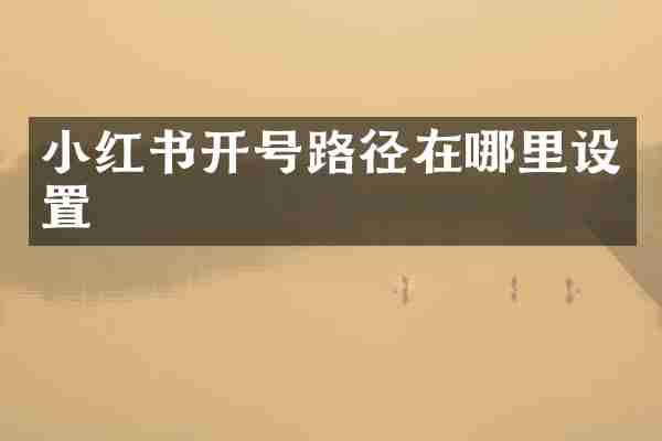 小红书开号路径在哪里设置