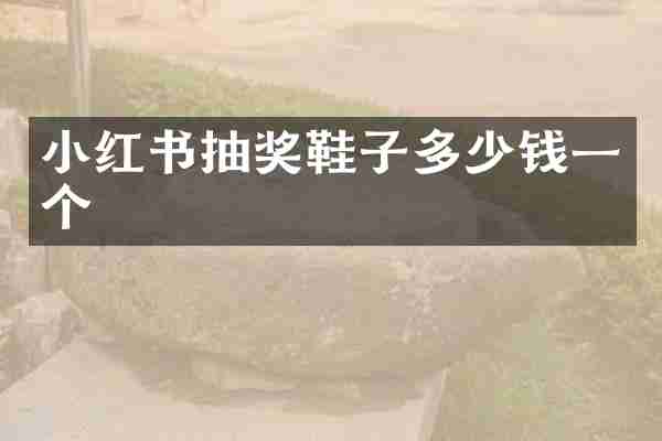 小红书抽奖鞋子多少钱一个