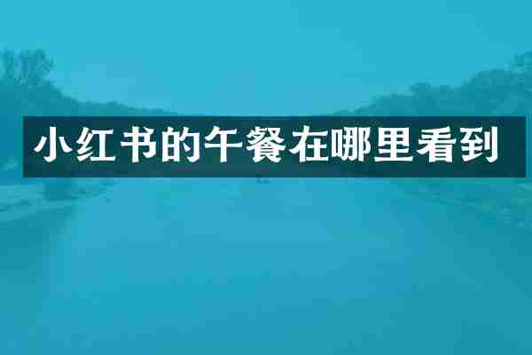 小红书的午餐在哪里看到