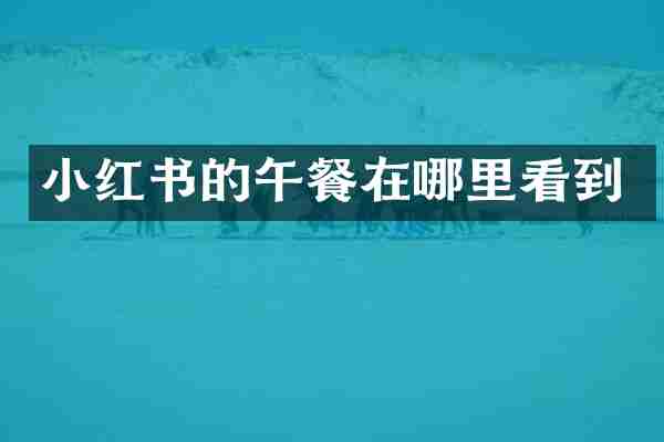 小红书的午餐在哪里看到