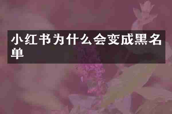 小红书为什么会变成黑名单