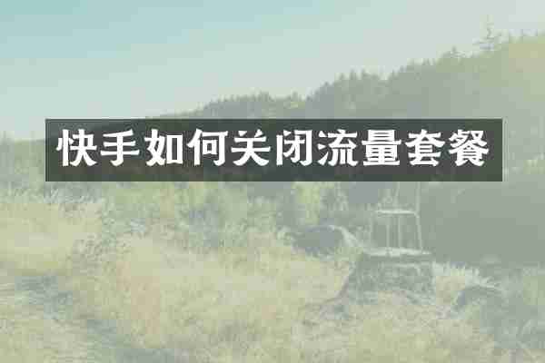 快手如何关闭流量套餐