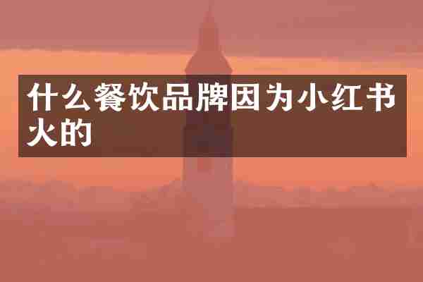 什么餐饮品牌因为小红书火的