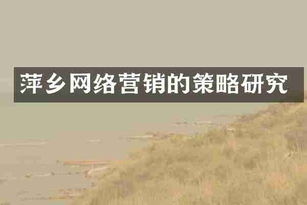萍乡网络营销的策略研究