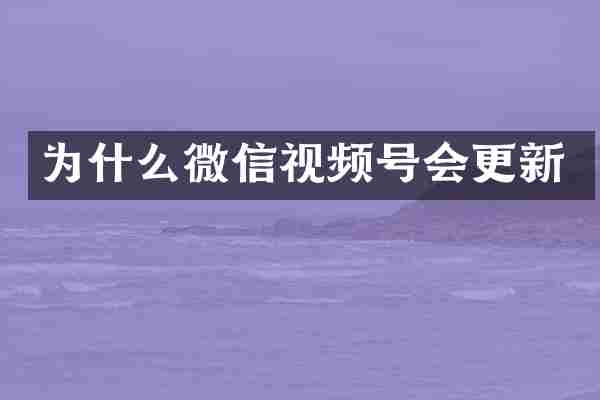 为什么微信视频号会更新