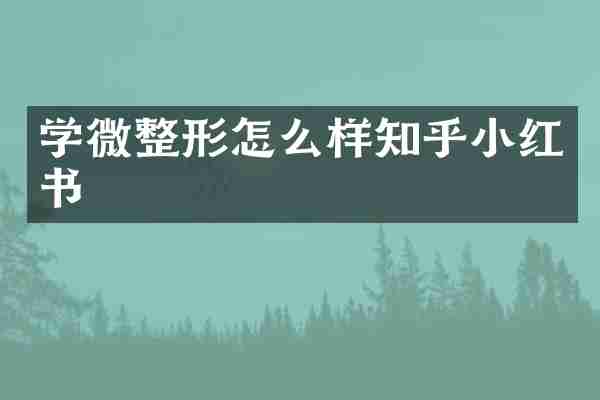 学微整形怎么样知乎小红书