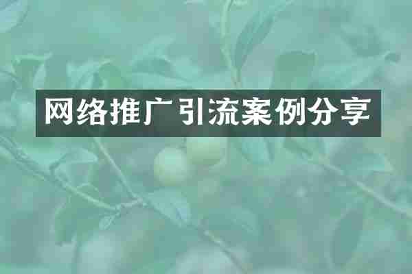 网络推广引流案例分享