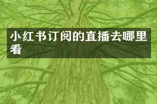 小红书订阅的直播去哪里看