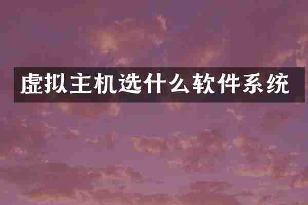 虚拟主机选什么软件系统