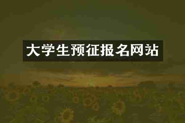 大学生预征报名网站